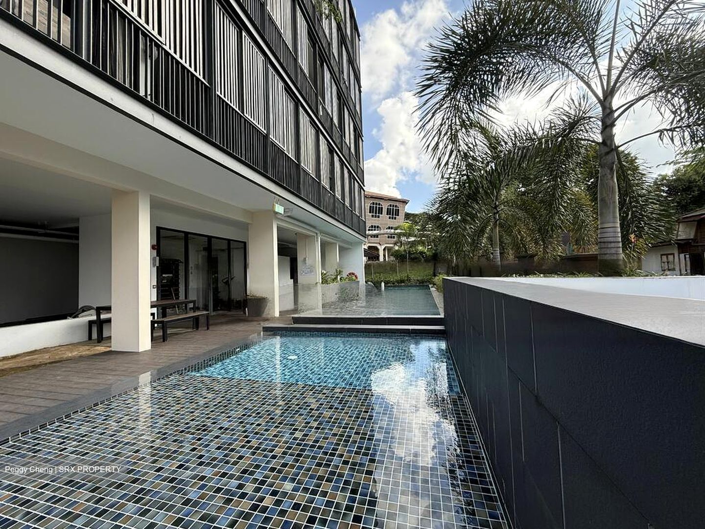 Duchess Royale (D10), Apartment #466112111